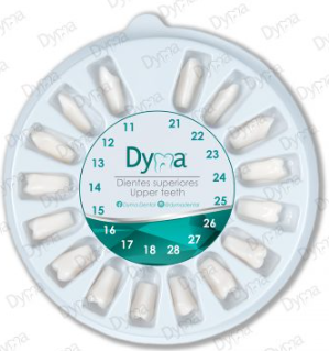 Dientes de ivorina adulto blanco Dyma® estuche x 32 2 Dientes de ivorina adulto blanco Dyma® estuche x 32 - Imagen 2